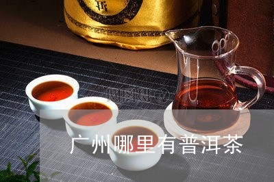 广州哪里有普洱茶/2023041242603