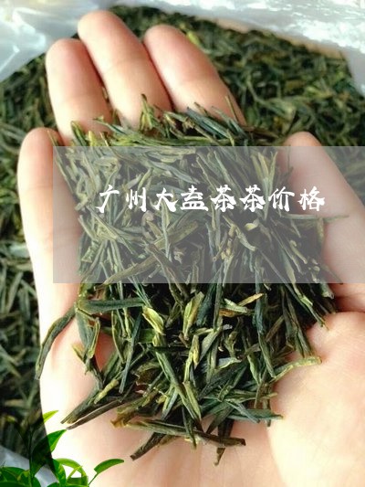 广州大益茶茶价格/2023032626258