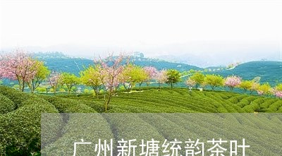 广州新塘统韵茶叶/2023032748571