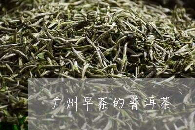 广州早茶的普洱茶/2023041093828