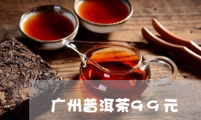 广州普洱茶99元/2023041331896