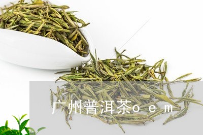 广州普洱茶oem/2023041049604