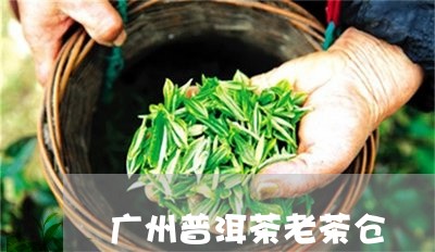 广州普洱茶老茶仓/2023041126069