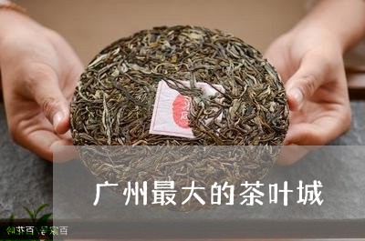 广州最大的茶叶城/2023032620590