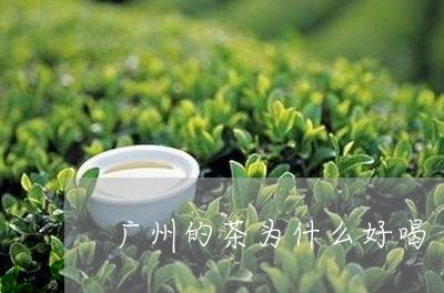 广州的茶为什么好喝/2023041573917