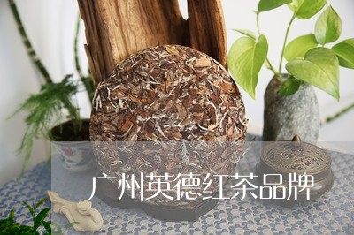 广州英德红茶品牌/2023032398250