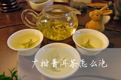 广柑普洱茶怎么泡/2023040964836