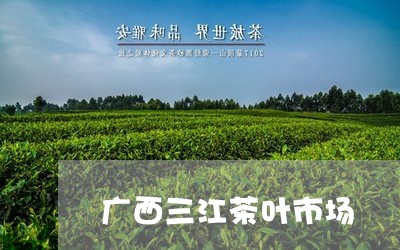 广西三江茶叶市场/2023032688574