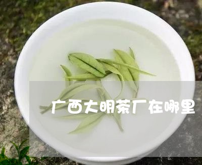 广西大明茶厂在哪里/2023041684949