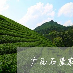 广西石崖茶是什么茶/2023031990524