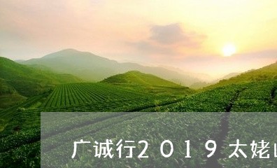 广诚行2019太姥山寿眉/2023033099250