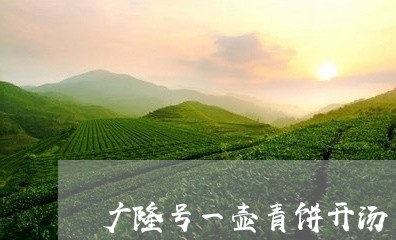 广隆号一壶青饼开汤/2023032127380