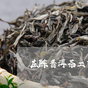 庄陈普洱茶工艺茶/2023041146470