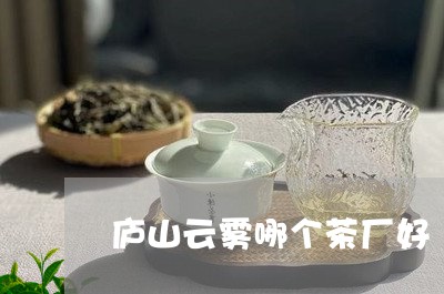 庐山云雾哪个茶厂好/2023032024825