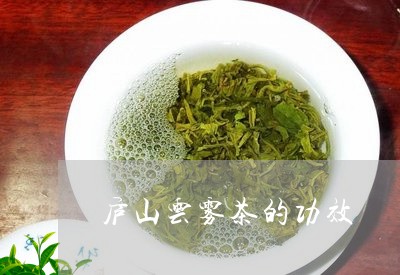 庐山云雾茶的功效/2023032541724