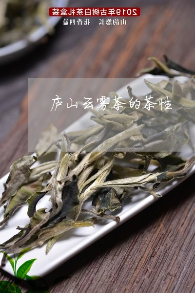 庐山云雾茶的茶性/2023032469370