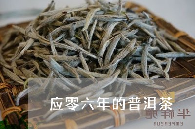 应零六年的普洱茶/2023033052825