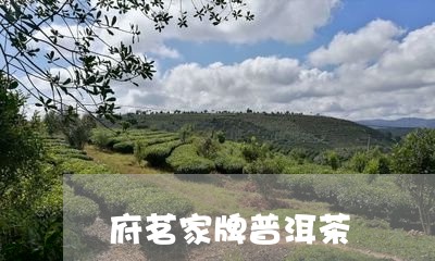 府茗家牌普洱茶/2023033195049