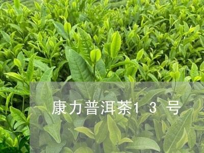 康力普洱茶13号/2023031771593