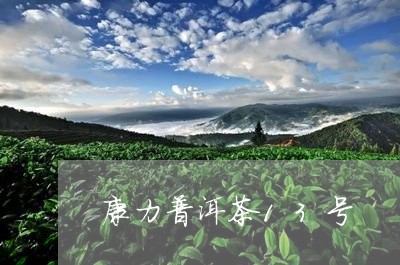 康力普洱茶13号/2023041259685