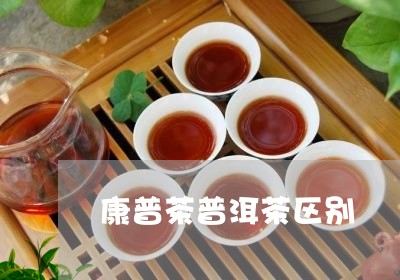 康普茶普洱茶区别/2023041192816