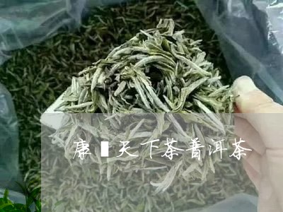 康熙天下茶普洱茶/2023031706150