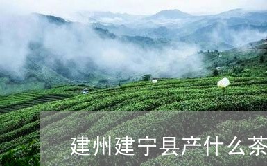 建州建宁县产什么茶/2023031907389