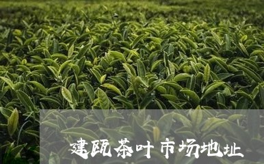 建瓯茶叶市场地址/2023032572727