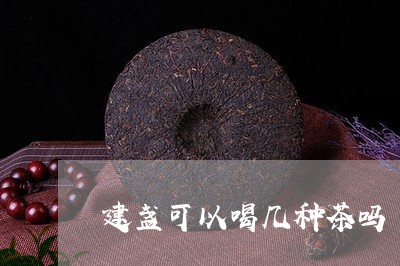 建盏可以喝几种茶吗/2023031832839