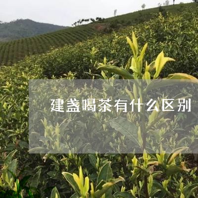 建盏喝茶有什么区别/2023032030403