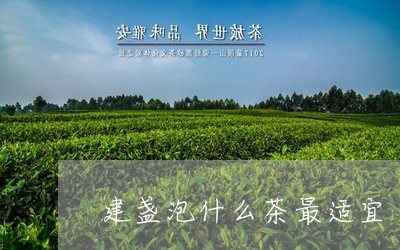 建盏泡什么茶最适宜/2023031915059