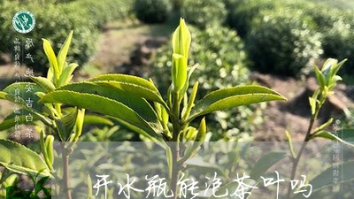 开水瓶能泡茶叶吗/2023032696159