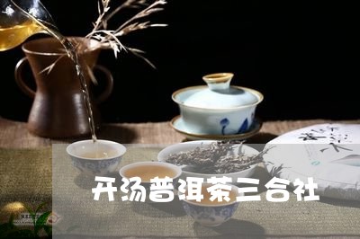 开汤普洱茶三合社/2023033071613