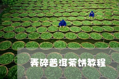 弄碎普洱茶饼教程/2023031747470