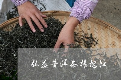 弘益普洱茶杨旭恒/2023033159682