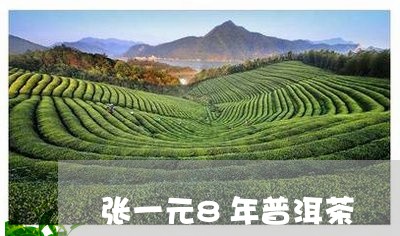 张一元8年普洱茶/2023033008173