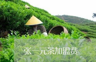 张一元茶加盟费/2023041390815