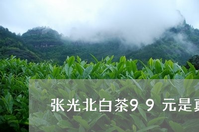 张光北白茶99元是真是假/2023033041713