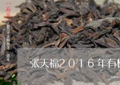 张天福2016年有机贡眉/2023033006170