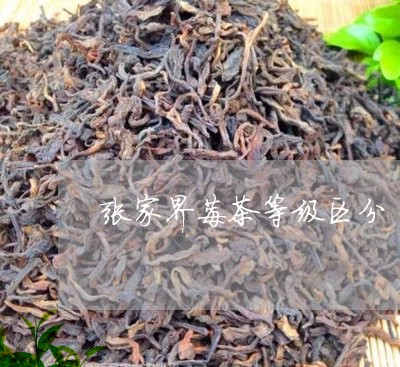 张家界莓茶等级区分/2023041538492