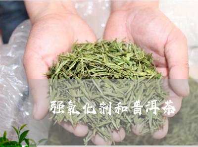 强氧化剂和普洱茶/2023033142935