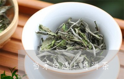 当茅台遇上普洱茶/2023041345969