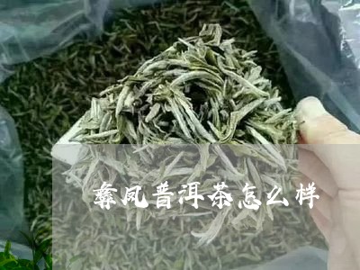 彝凤普洱茶怎么样/2023033147363