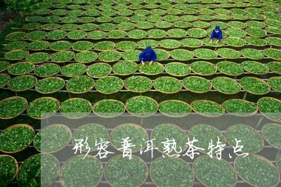 形容普洱熟茶特点/2023032941504