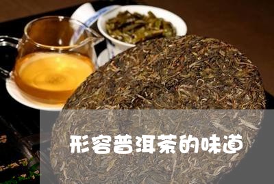 形容普洱茶的味道/2023031704169