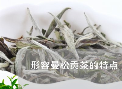 形容曼松贡茶的特点/2023041419563