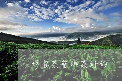 形容茶普洱茶好的/2023041114017