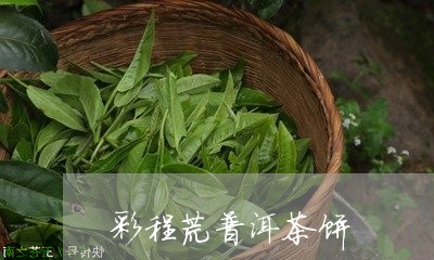 彩程荒普洱茶饼/2023040189635