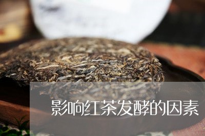 影响红茶发酵的因素/2023031831515