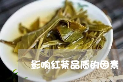 影响红茶品质的因素/2023041454048